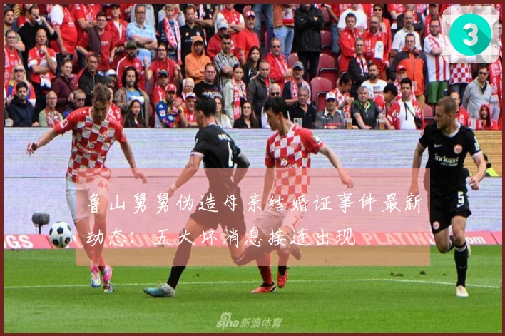 鲁山舅舅伪造母亲结婚证事件最新动态：五大坏消息接连出现